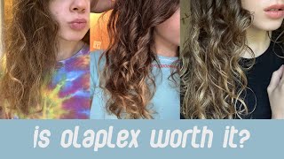 Is OLAPLEX worth it ✨ Olaplex review amp test on 2B wavy frizzy hair deinfluencing [upl. by Ramat791]