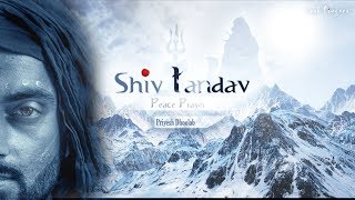 Shiv Tandav Peace Prayer [upl. by Hctud528]