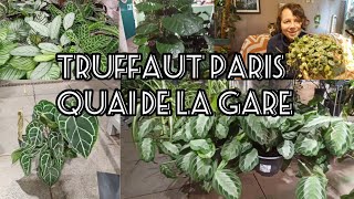 124 jardinerie tour  Truffaut Paris Quai de la gare [upl. by Elleimac]