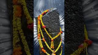 remedy for Shani Sade sati 🙏remedy shanidev shani sadesatti positivity faith karma believe [upl. by Audi]