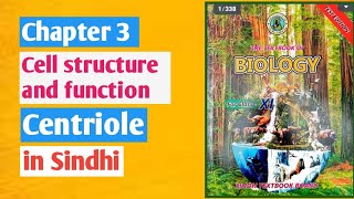 centrioles class 11 biologyChapter 3 cell structure and functionSindh board [upl. by Leanna]