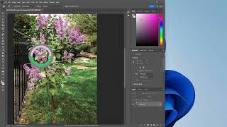 6 How to Select a Color Using the Eyedropper Tool EP 056 [upl. by Ocirnor]