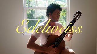 Edelweiss Guitar Solo [upl. by Ellevart]