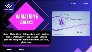 Variation amp Genetics  Gene Allele Gene linkage Multiple Allele Crossing over  All in one shot [upl. by Ycul]