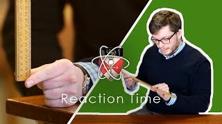 Reaction Time  GCSE Science Required Practical [upl. by Nylhtiak381]