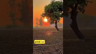 pind 🥺 pind desi pindawale pindan jatt trending shortsfeed shorts song kulbirjhinjar [upl. by Annairb570]