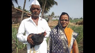 झणझणीत चुलीवरचा गावाकडचा गावरान देशी कोंबडीचा रस्सा Village Style Chicken [upl. by Ulrika967]