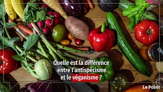 Paul Sugy  « L’antispécisme veut transformer l’humanité et notre rapport au vivant » [upl. by Rhpotsirhc]