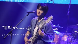 4K l 루시 LUCY 개화 Flowering 조원상 직캠ㅣ 241109 스카이 페스티벌 [upl. by Silvain180]