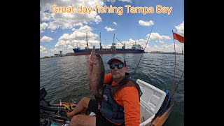 Fishing Tampa Bay shipping channel for snapper and grouper [upl. by Adnalohs747]