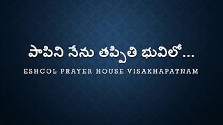 Papini nenu tappithi bhuvilo I Siyyonu geethamulu I Hebron song  Eshcol prayer House vizag [upl. by Goto989]