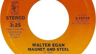 Magnet And Steel Walter Egan 45RPM vinyl to 45000HZ [upl. by Abie]