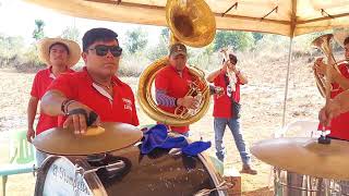 TROMPETISTA ALEGRE OFICIAL sigue sonando en el pueblo de las hermosas mujeres de la de Huipil Rojo [upl. by Raycher]