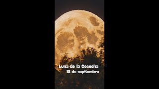 Luna Llena del 18 de septiembre ¿Qué Impacto Tendrá en Tu Energía y Abundancia [upl. by Analad954]