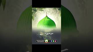 Sayyed Abdul Wasi Naat Status 🌹shots viralvideos madinashareef naatsharifsayyedabdulwasiqadri [upl. by Rye]