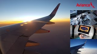 TRIP REPORT  Avianca Brazil  A320214 WL  São Paulo CGH to Brasília JK  Economy Class [upl. by Ernaldus]