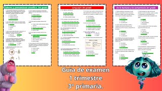 Guia de examen 1Trimestre 3 grado [upl. by Ahsikyt437]