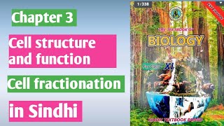 Cell fractionation class 11 Biology Sindhi board [upl. by Sadella]