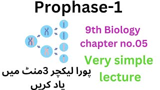 prophase1  chapter 05 9th biology 9thclass [upl. by Phelps453]