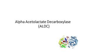 Explanation about Alpha Acetolactate Decarboxylase ALDC Benefits and Disadvantages of ALDC [upl. by Braynard948]