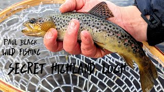 SECRET Highland LochWild Scottish Trout on DRY FLIES [upl. by Ebeohp]