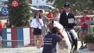 CSO Poney Elite D Minime Excellence [upl. by Kallick]