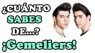 ¿Cuánto sabes de GEMELIERS  TEST ¡¡ADELANTE FANS [upl. by Zared580]