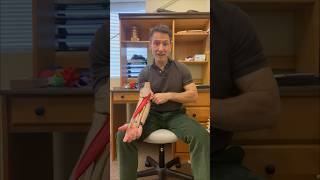 Biceps Tendonitis Treatment  Fascial Release of the Pronator Teres Muscle [upl. by Vickey]