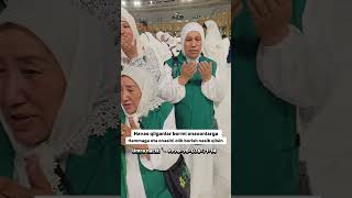 Umra ziyorati narxi 2024 2025 o’zbekistonda qancha bo’lyapti Hammaga nasib qilsin [upl. by Ennazzus]