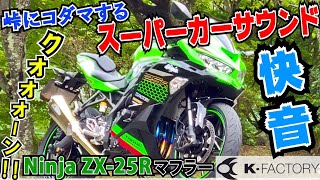 ZX25R 直四集合サウンド KFACTORY製フルエキゾーストで峠を走り快音奏でてみた♪ [upl. by Tawsha]