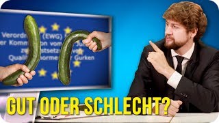 Die EU – Was ist gut daran Was ist schlecht [upl. by Dlaner]