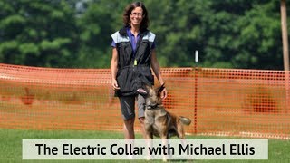 The Electric Collar with Michael Ellis I DVD Trailer [upl. by Sacksen]