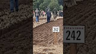 Traditional Horse Ploughing at the 73rd British National Ploughing Championships 13th October 2024 [upl. by Lanctot]