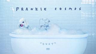 Frankie Cosmos  Duet [upl. by Powell366]