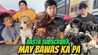 MAY BAWAS PAG SUBSCRIBER KA  GROTTO PET MARKET UPDATE  SEPTEMBER 29 2024 [upl. by Watt]