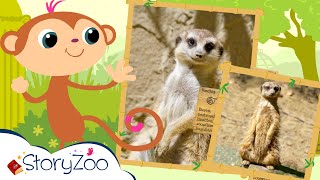 StoryZoo  StoryZoo in The Zoo  Learn About Meerkat  Educational Videos for Children  storyzoo [upl. by Merete772]