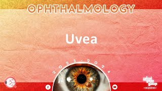 Ch Uveal tract disorders 4 Ophthalmology [upl. by Wystand238]