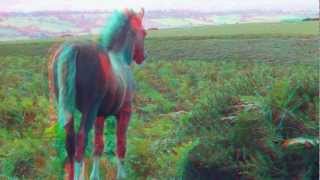 The BeaconBradnor Hill amp Hergest Ridge 3D  with extract from Mike Oldfields OMMADAWN [upl. by Abrahams]