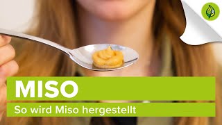 So wird Miso hergestellt [upl. by Ocin]