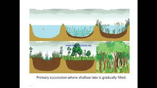 Ecology of Population  Biology SS2 Week 1 Lesson 1 [upl. by Gram]