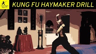 CHOY LEE FUT KUNG FU SWEEPING FIST TUTORIAL [upl. by Cod]