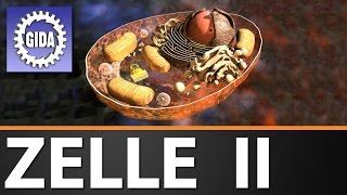 Trailer  Zelle II  Biologie  Schulfilm [upl. by Eulalia]