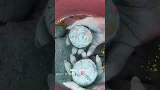 Confetti mix green chalk reforms credit maral Asmr edited by Asmrshuecrush satisfying chalkasmr [upl. by Lebbie]