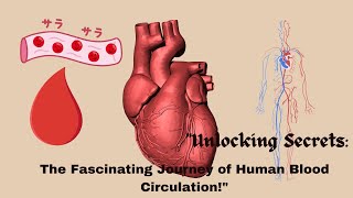 quotUnlocking Secrets The Fascinating Journey of Human Blood Circulationquot [upl. by Eelarat]