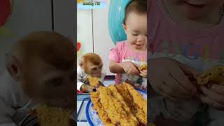 baby Bear and monkey Titi were happy to eat fried banana cake monkeybaby cute shortsvideo [upl. by Nariko]