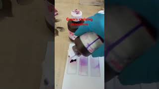 Gram staining procedure microbiology bacteria [upl. by Nairdna]