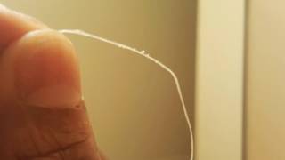 WTF Dental Floss for Blackhead Extraction [upl. by Scherman976]