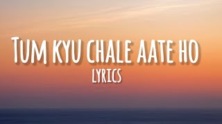 Tum kyu Chale Aate Ho Song Lyrics [upl. by Roseanne174]