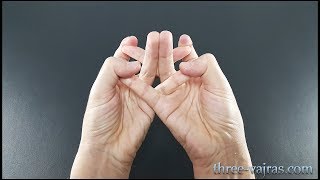 Crown Chakra Mandala Sahasrara Mudra Variations Tutorial  Three Vajras [upl. by Nathalia]