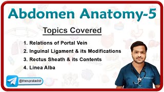 🕵️‍♂️ Anatomy Of Abdomen Part  5  Inguinal ligament and canal Inguinal hernias Rectus sheath🌟💡 [upl. by Inahs]